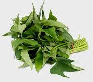 A bunch of fresh sweet potato leaves, also known as Matembélé, against a white background.
