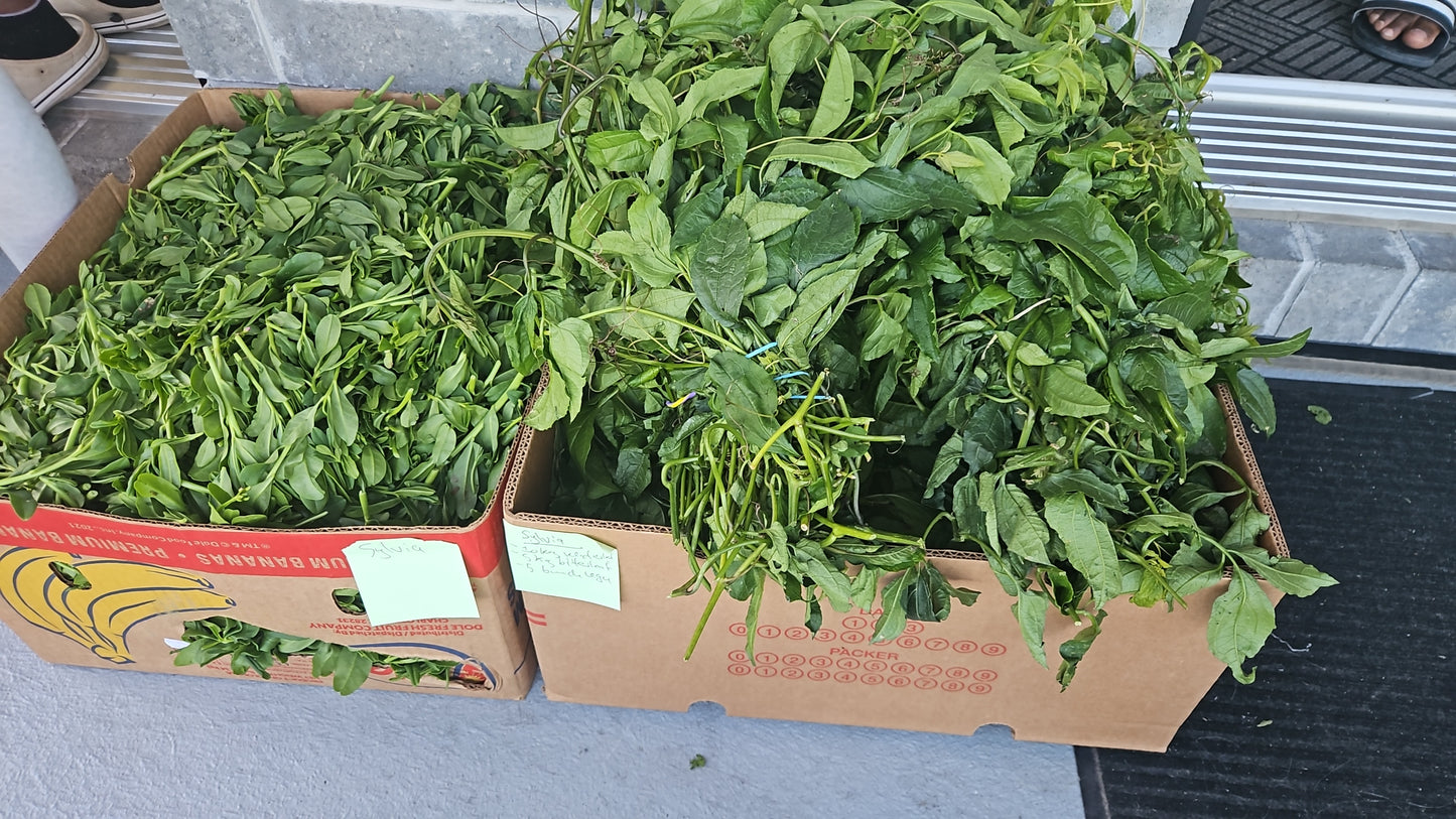 Box of fresh green leafy vegetables on a gray surface