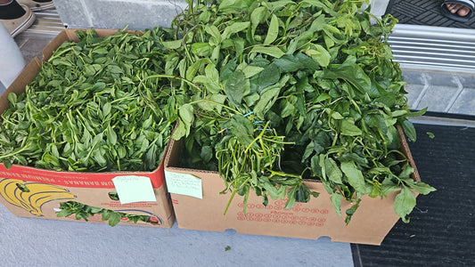Box of fresh green leafy vegetables on a gray surface