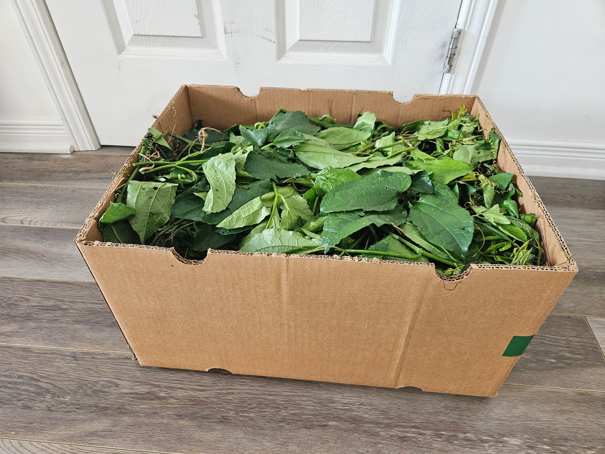 Cardboard box filled with green leafy vegetables on a wooden floor.