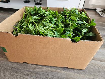 Cardboard box filled with green leafy vegetables on a wooden floor.