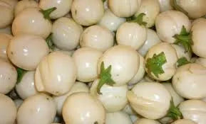 Organic Garden Egg (African Eggplant) - Traditional aubergine for stews 01